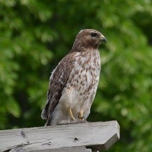 Home decor photo prints art